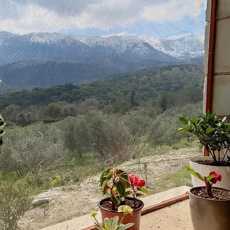 Ormilia