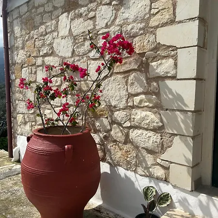 Lejlighed Ormilia Chania (Crete)